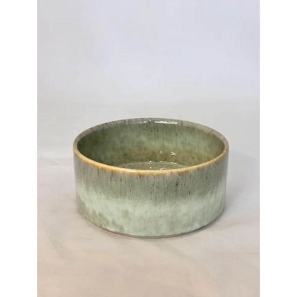 ASSIETTE CREUSE VERT PORCELAINE EMAIL REACTIF 20CM