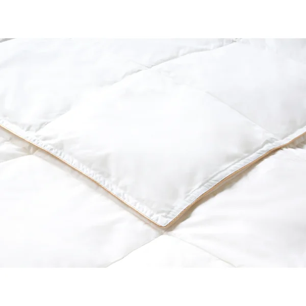 Bettdecke Entendaunen Mittelwarm EIGER 200 x 200 cm