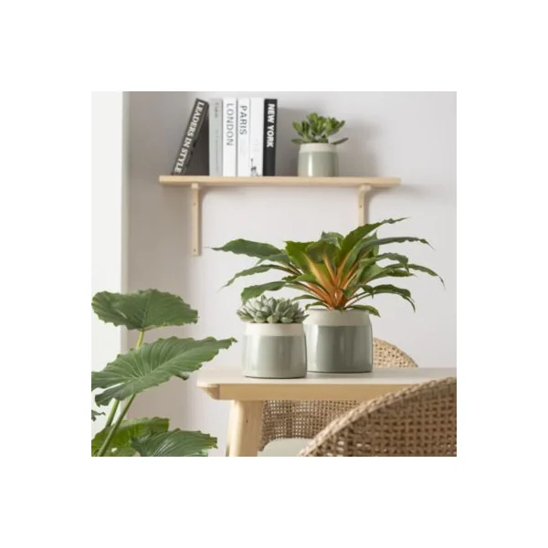 Cache-pot rond céramique vert 717 Scheurich ø17 x h.14 cm