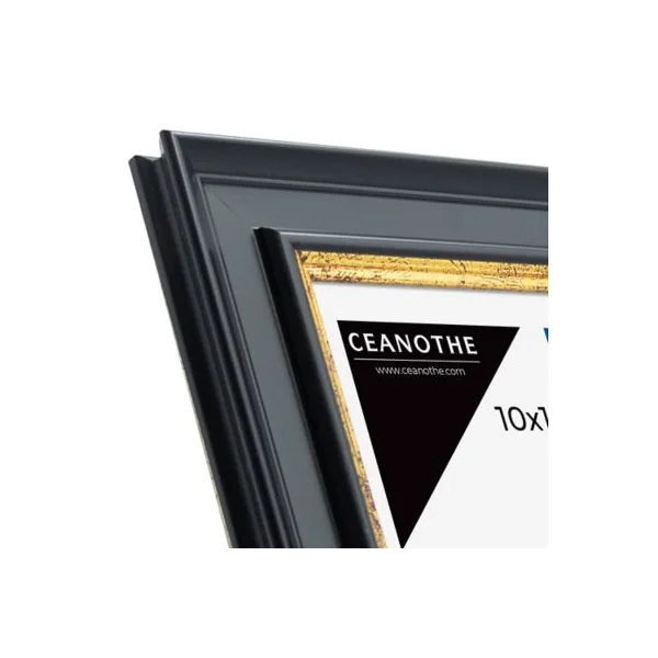 Cadre Gaia noir et or 18 x 24 cm Ceanothe