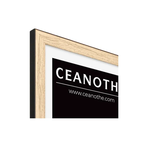 Cadre Newton noir 24 x 30 cm Ceanothe