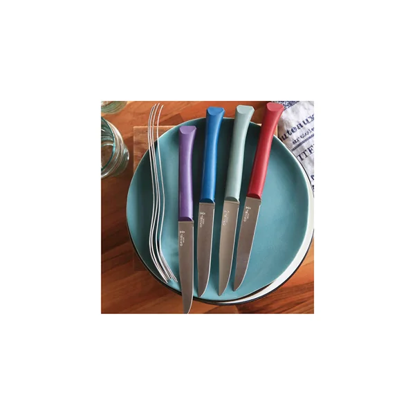 Coffret de 4 couteaux de table multicolor - Opinel