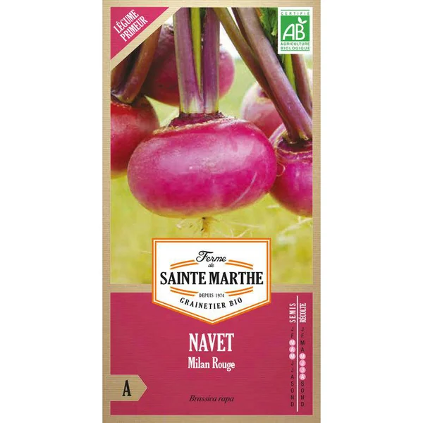 Graines de navet de Milan Rouge bio Ferme de Sainte Marthe - graines à semer