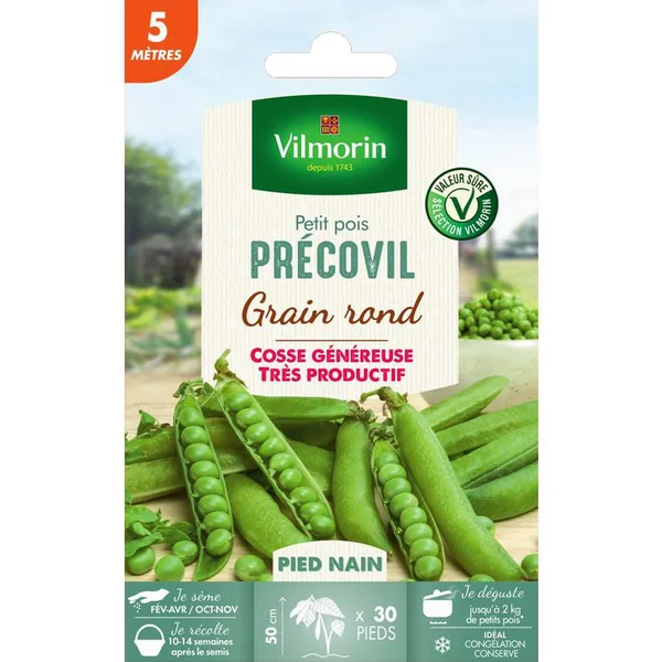 Graines de pois nain Precovil Vilmorin 5 mètres - graines à semer