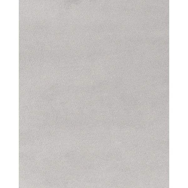 Lot de 2 chaises de salle à manger LUANA Velours Gris clair