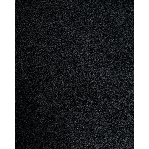 Lot de 2 chaises de salle à manger LYNEY Tissu Noir
