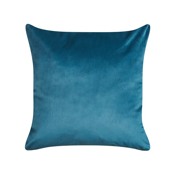 Lot de 2 coussins décoratifs DELICIOSA Velours 45 x 45 cm Bleu Motif de plante