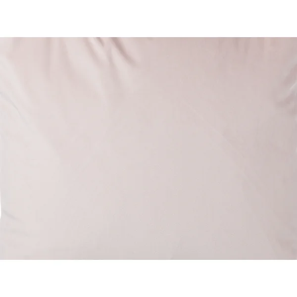 Lot de 2 coussins décoratifs FREESIA Velours 45 x 45 cm Rose Motif de plante