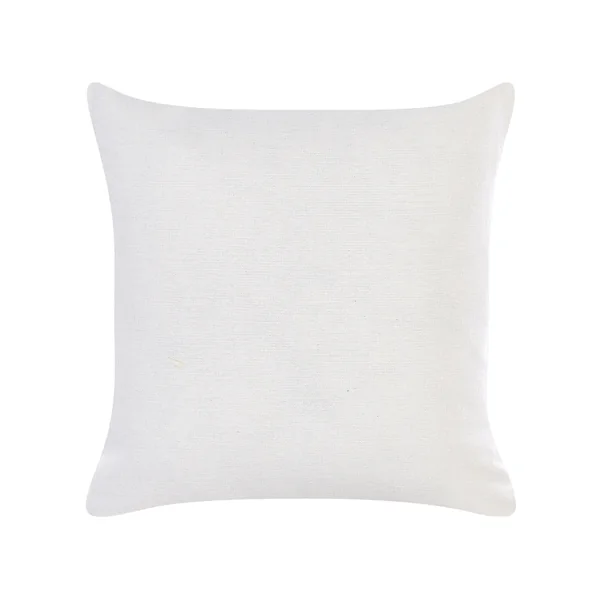 Lot de 2 coussins décoratifs GOLDENROD Velours 45 x 45 cm Blanc Motif de plante