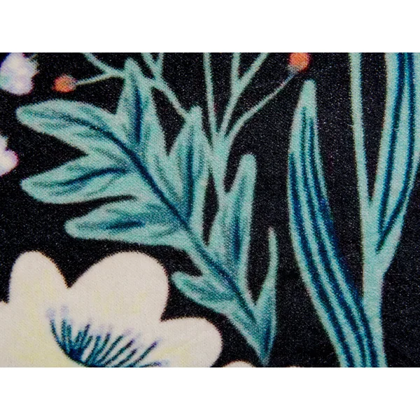 Lot de 2 coussins décoratifs OSMUNDA Velours 45 x 45 cm Noir Motif floral