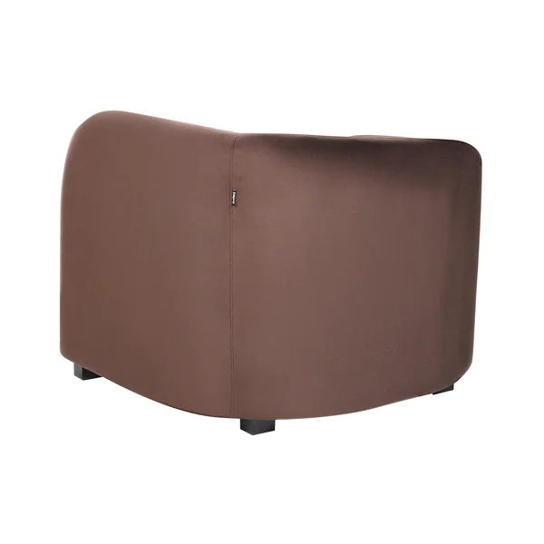 Lot de 2 fauteuils VELTADA Velours Marron foncé