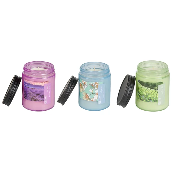 Lot de 3 bougies parfumées FRUITY BLOOM Cire de soja Notes florales Notes de fraîcheur