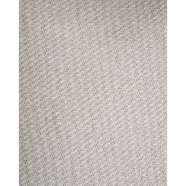 Lot de 4 chaises de salle à manger RINER Tissu Beige clair
