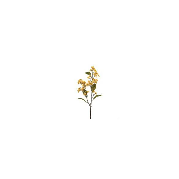 Magnolia Grandiflora Goliath blanc 125/150. Le pot de 25 litres