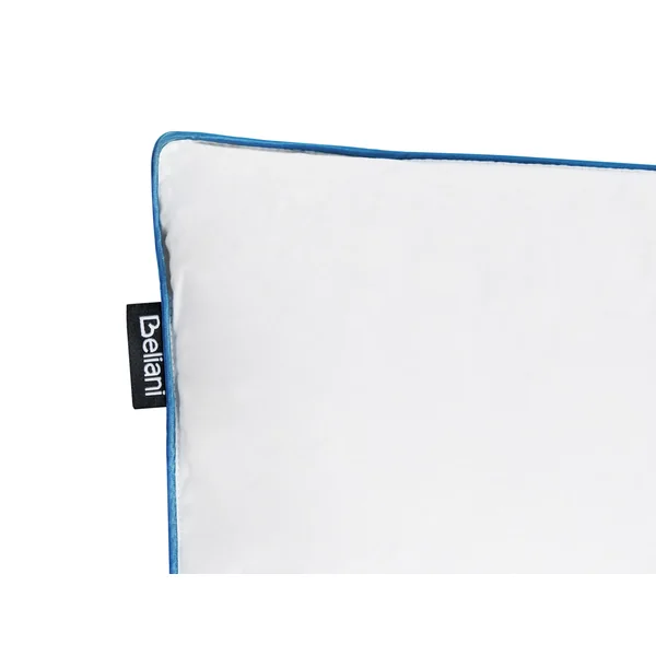 Oreiller ANETO Haut de plumes de canard 80 x 80 cm Blanc