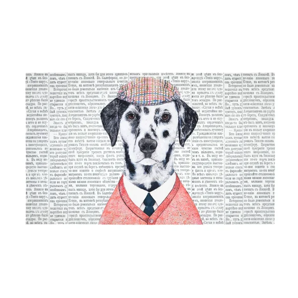 PETER TAPIS RUBBER 45X75CM MULTICOLORE