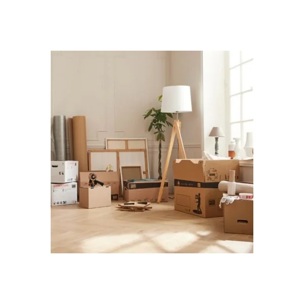 Petit carton déménagement large avec poignées H. 18 x L. 36 x l. 28 cm, capacité 18 L Pack and Mo vendu par 20 pièces