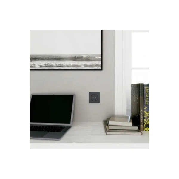 Plaque de finition 1 poste Schneider Electric Odace Touch S540802 coloris anthracite l.85 x P.10 x H.85 mm