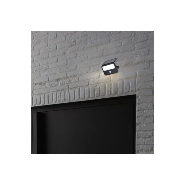 Projecteur LED solaire détecteur de mouvement noir 750lm blanc froid 6,3W 5000K