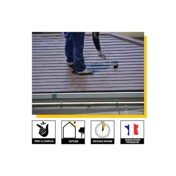 Protecteur Toiture Color Sikagard-224 ardoise 10L Sika
