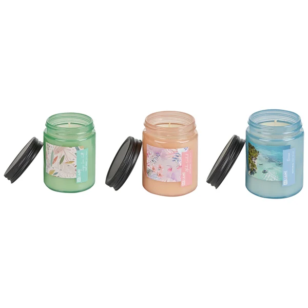 Set of 3 Scented Candles FRUITY BLOOM Soy Wax Fresh Notes Floral Notes