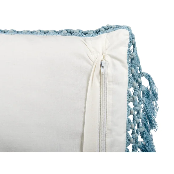 Set van 2 sierkussens PALLIDA Katoen 45 x 45 cm Blauw bloempatroon