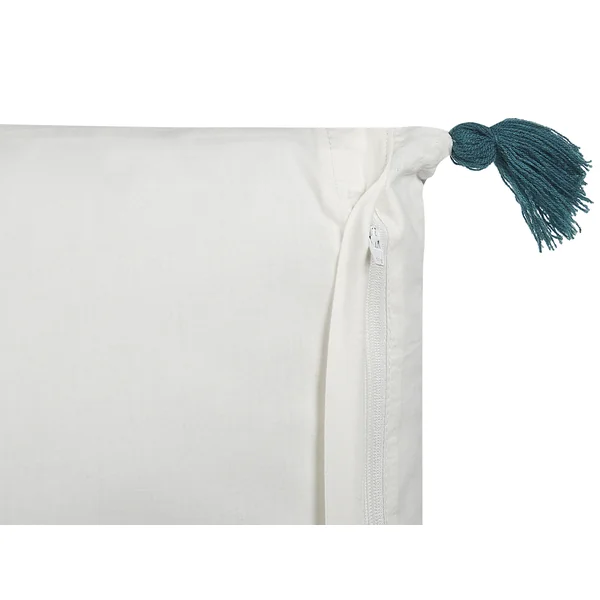 Set van 2 sierkussens RUMEX Katoen 45 x 45 cm Blauw bloempatroon