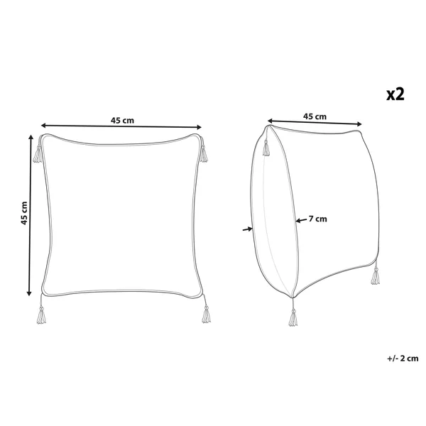 Set van 2 sierkussens SCHEFFLERA Fluweel 45 x 45 cm Wit geometrisch patroon