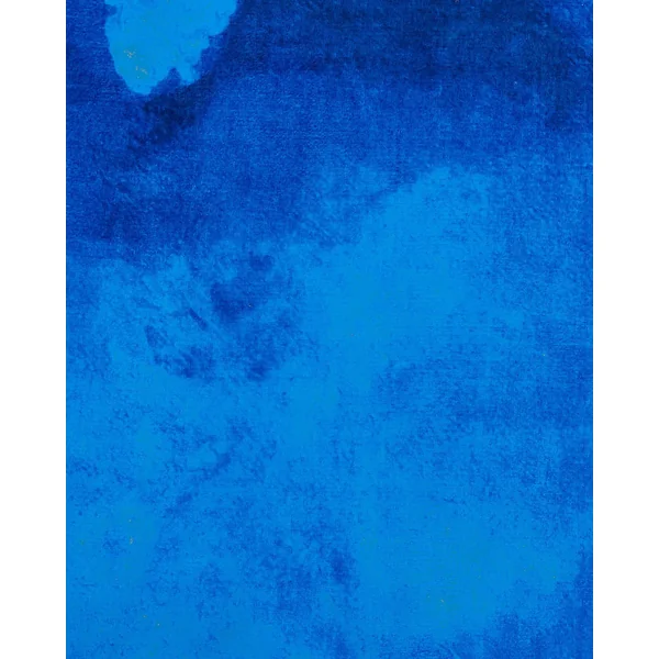 Tapis ODALAR Bleu 140 x 200 cm