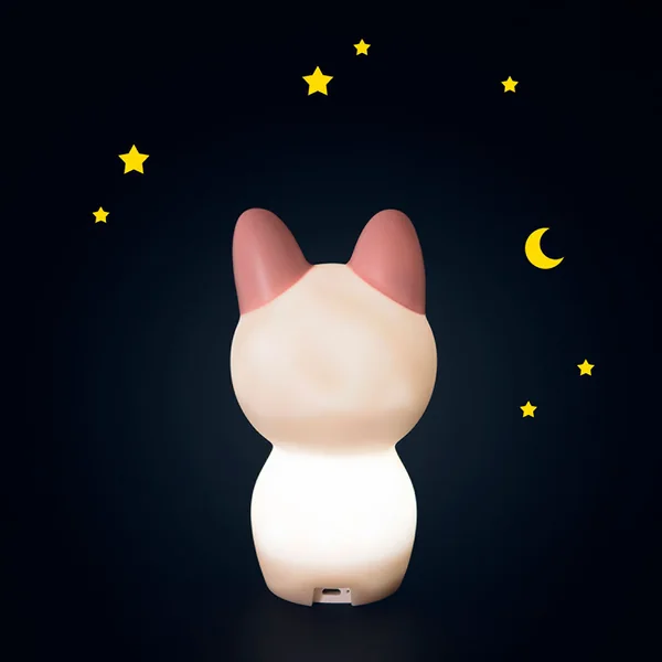 Veilleuse USB chat rose h16cm - Après la pluie